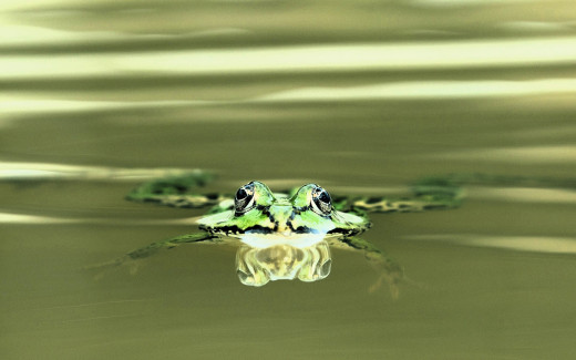 1756091 (a): :1920x1200